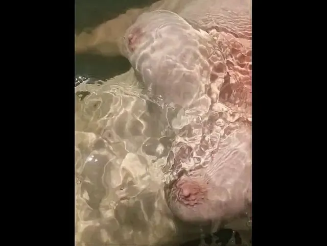 Süße Brüste umspielt von kaltem Seewasser (kein Ton)