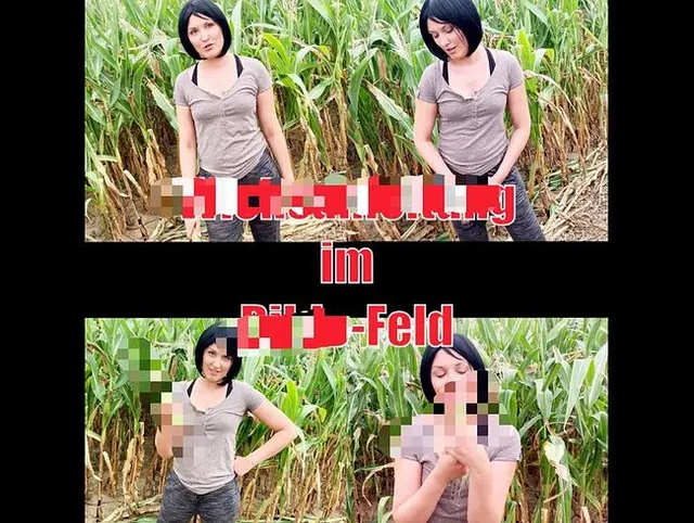 Wichsanleitung im Dildo-Feld