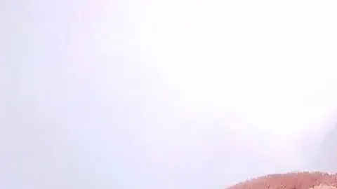 Striptease, anale und vaginale Masturbation