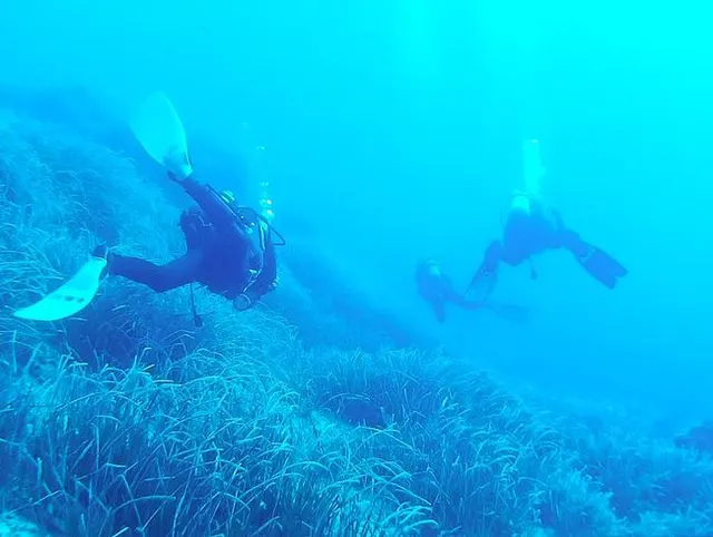 #Dive Nr .: 850 (2)