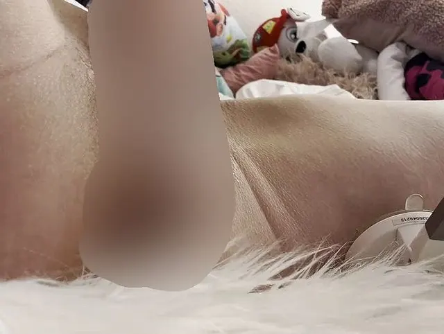Nahaufname von nasser Muschi mit Naturdildo tief am ficken ...