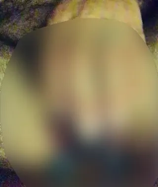 Profilbild von PussyAnalmature