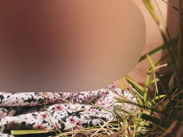 POV: Meine Erdbeerzeit… und ich nutze das Wetter aus ??