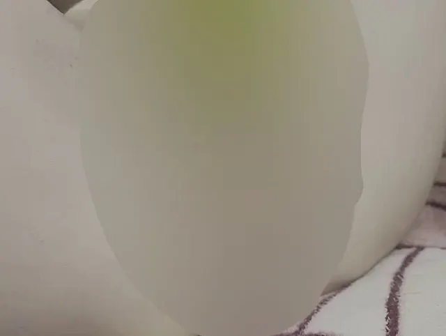 Zucchini fick