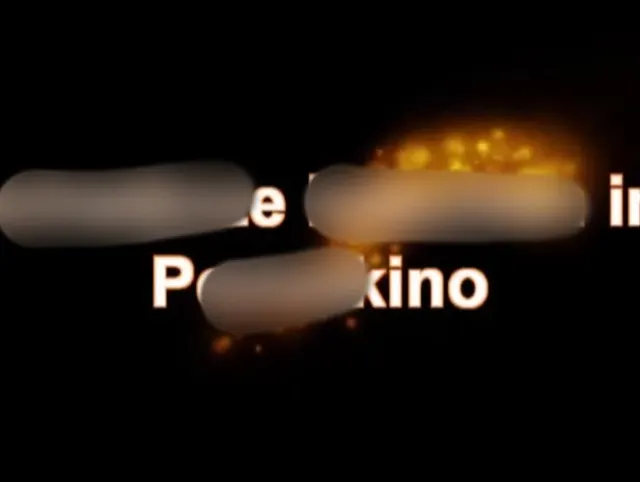 Schwänze im Pornokino