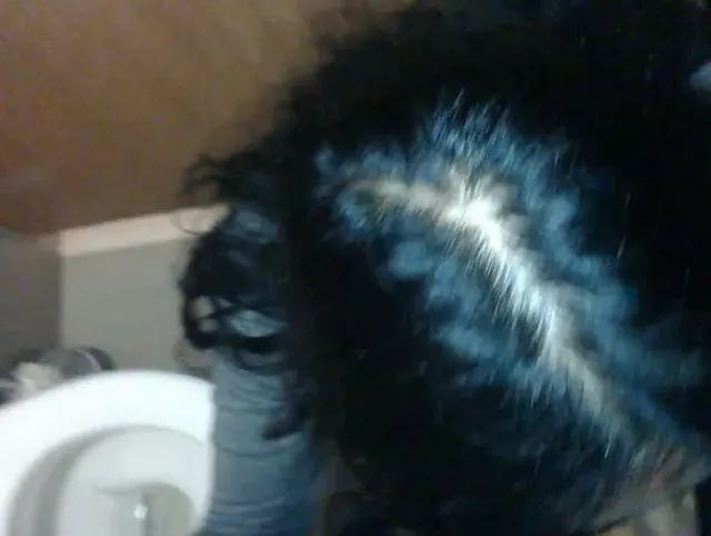 Was Paare auf der öffentlichen Toilette machen!????