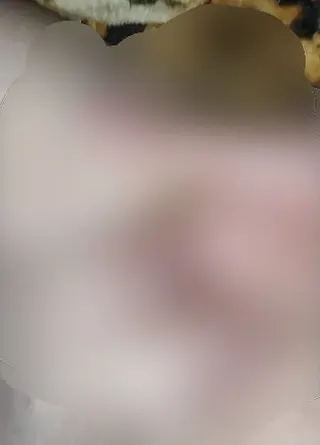 Einfach Mal alles laufen lassen????