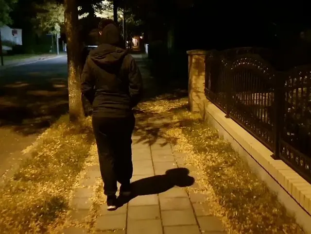 Beim Abendspaziergang gefickt