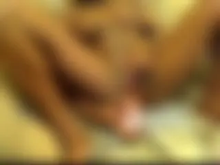 Mein kleine Muschi braucht es