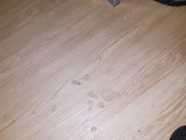 Mir den drecksschwanz gewichst