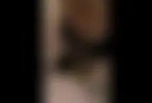 sucking thick cock