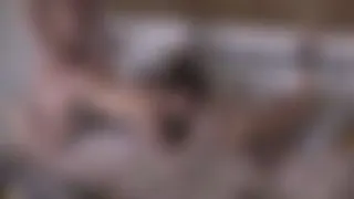 Besoffene Gruppenorgie 3