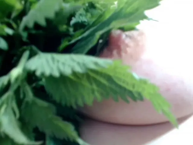 Spielen mit Brennnesseln
