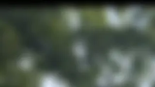 Geiles Inliner Date endet mit Besamung im Höschen