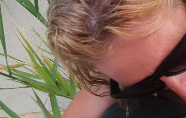 Blowjob am Strand POV