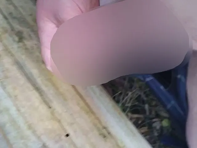 Wixxen beim Spaziergang mein erstes wixxvideo.