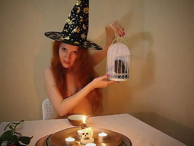 Halloween und Eule