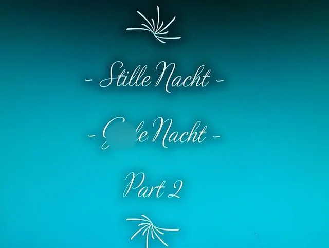 -Stille Nacht - Geile Nacht - Part 2