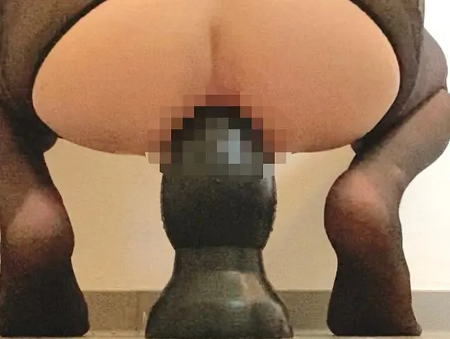 Rekord Anal Plug 23 x 10cm