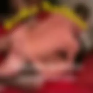 Geiler Nachbar