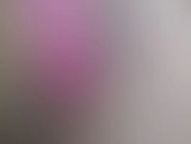 Der Dildo hat mich richtig cremig gemacht