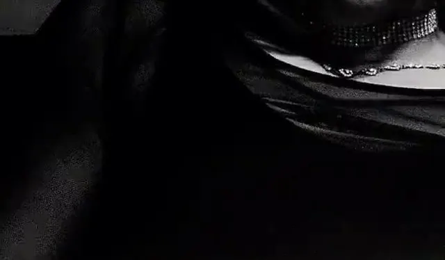 linda video 2.1