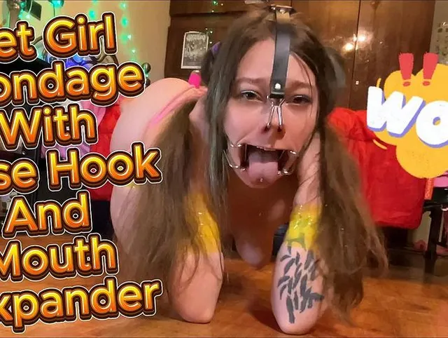 Bondage Pet Girl kriecht auf allen Vieren mit Vibrator an ihrer Muschi