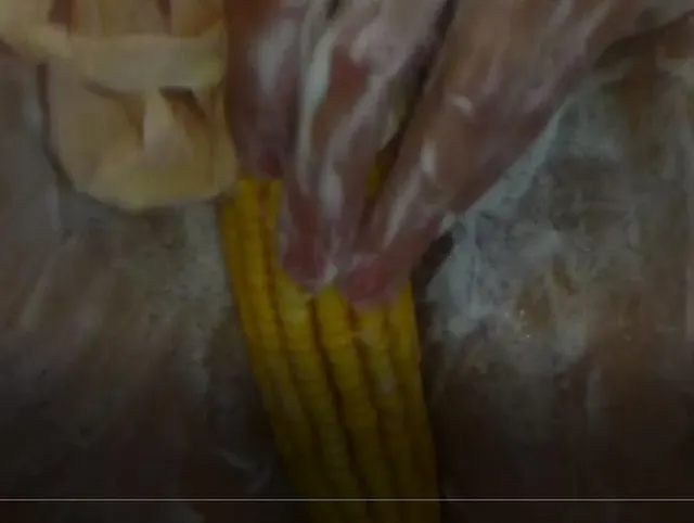 Maiskolben ficken!