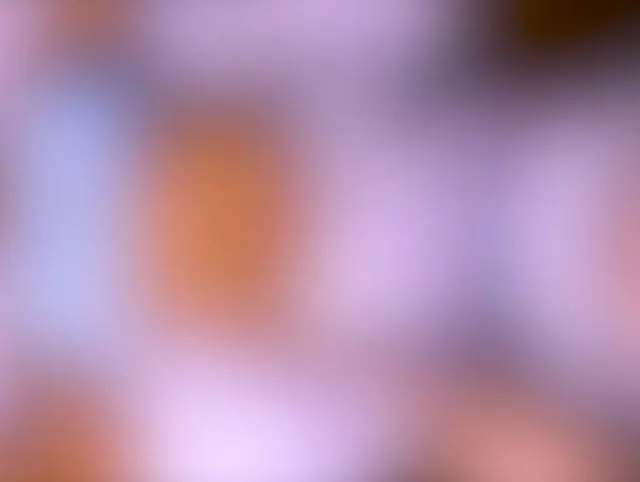 Die Kunststudentin hatte eine private Modellierungssitzung mit ihrer Lehrerin und gemeinsam entdeckt