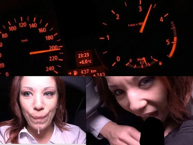 Blowjob - Bei Tempo 210