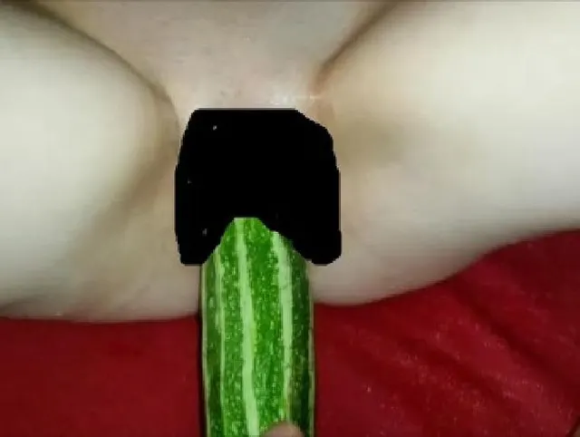 Zuchini Gemüse der Saison