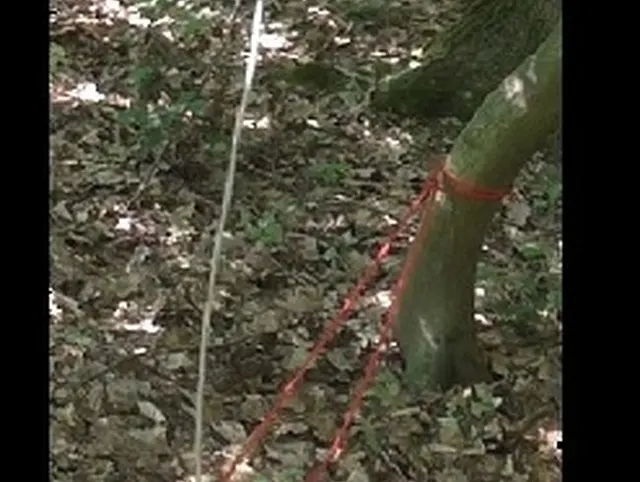 in der Natur