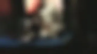 Orgie im Pornokino 1