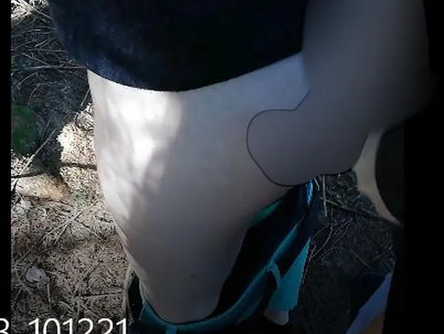 Spontan gefüllt im Wald