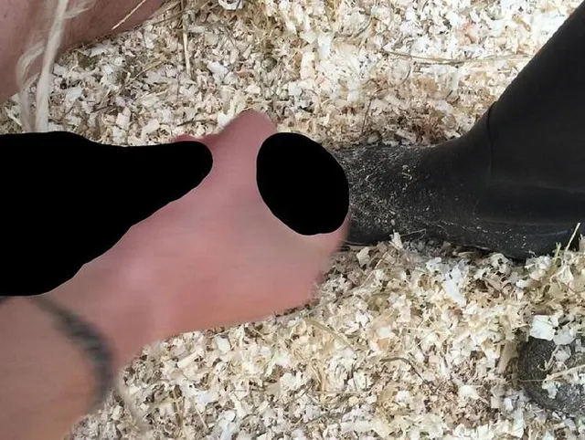 Strafwichsen im Pferdehänger