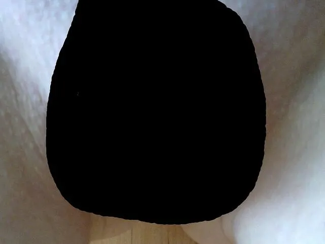 I shaved my vagina today