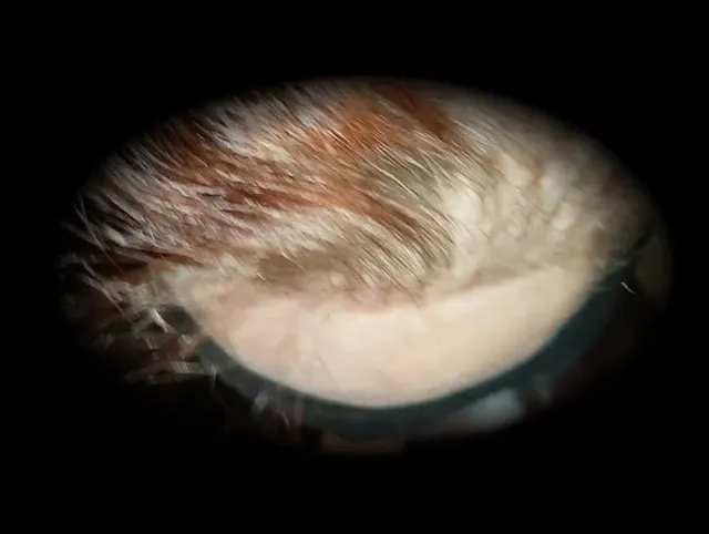 Verbundene Augen - Blowjob - Pures Schwanz FEELING