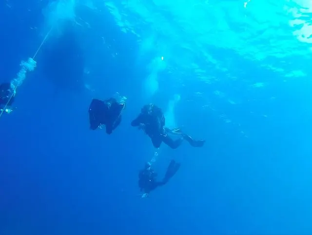 #Dive Nr .: 852 (3)