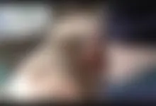 outdoors blowjob pt 2