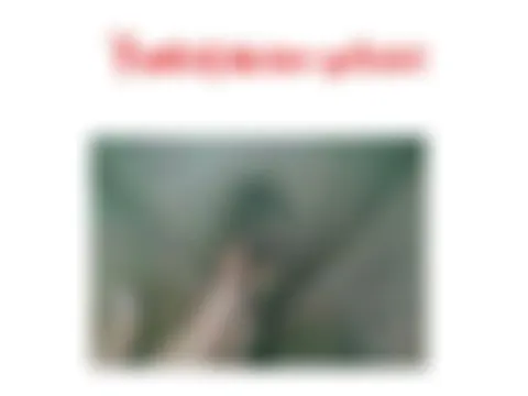 Profilbild von Sexy Zuckerschnute