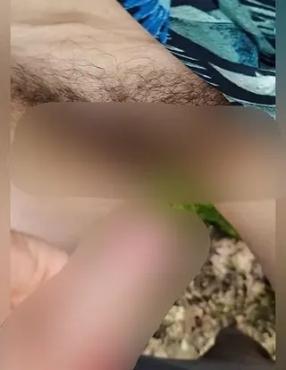 Im Wald auf den Busch gewixxt