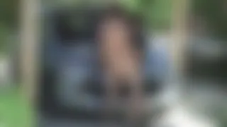 Quicky auf dem Auto