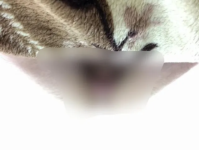 Original Video 130 - Maxi Fickt Bareback - Cam 1 - Teil 2-4