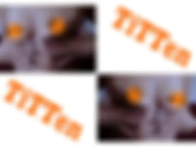 TiTTen kneten