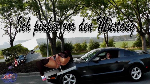 Ich pinkel vor den Mustang