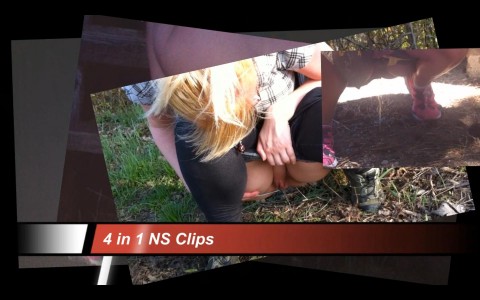 4 in 1 NS Clips