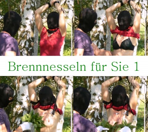 Brennnesseln für Sie 1