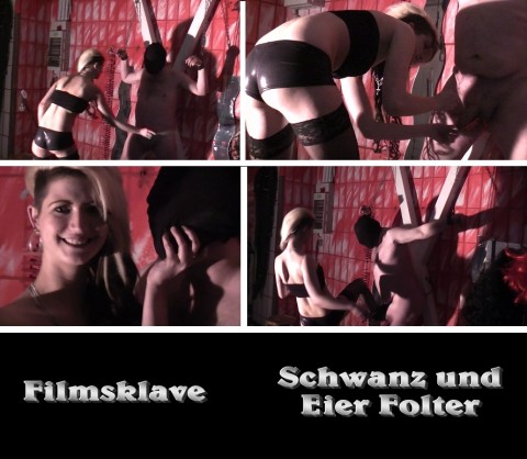 Schwanz und Eier Folter