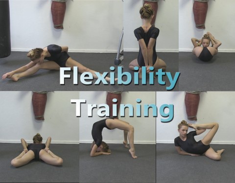 Flexibility Training