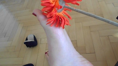 Blume streichelt meine süßen Füße